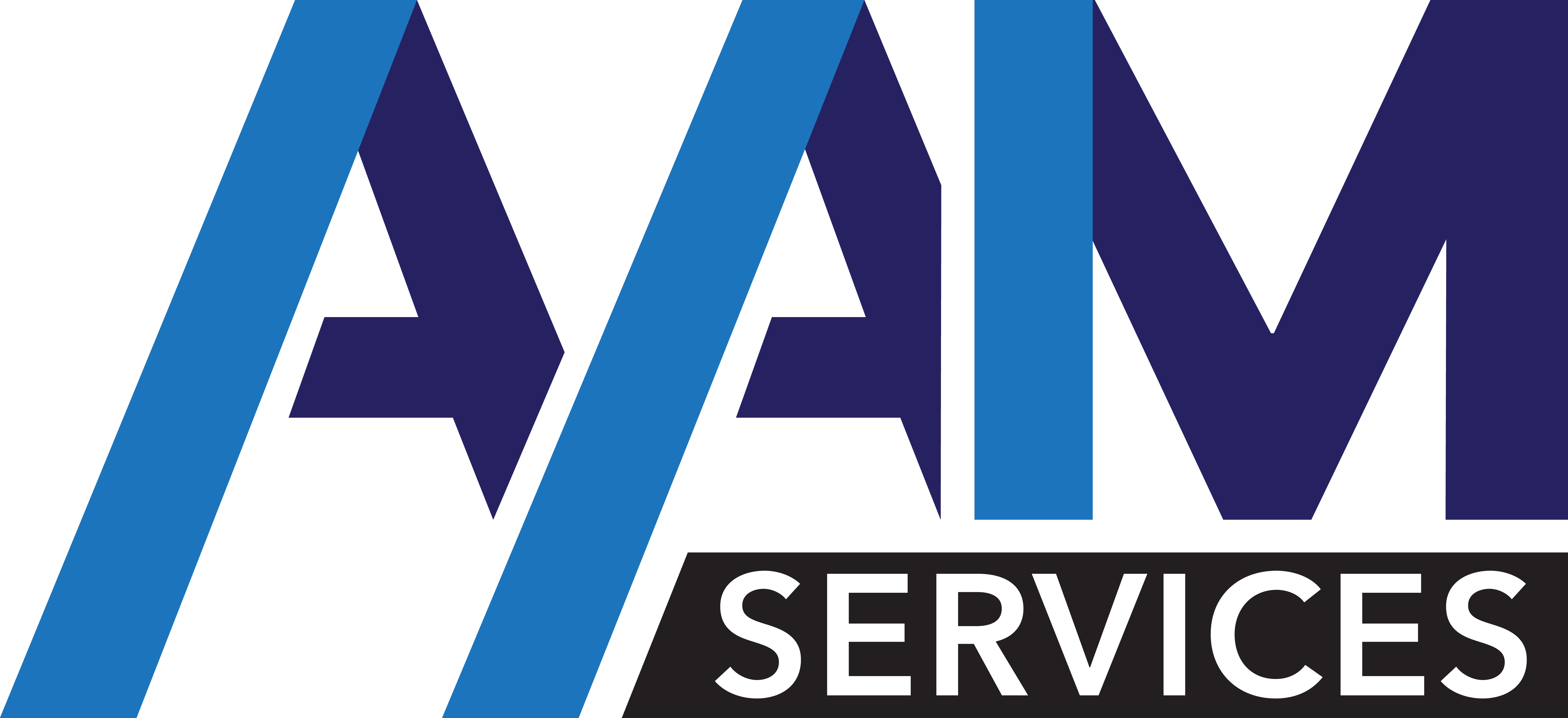 AAM Services Web Development